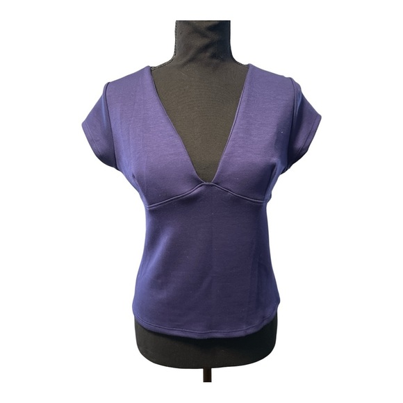 gaze Tops - Gaze Royal Blue Deep V Neck Y2K Streetwear Indie Baby Tee Top NWT  Large